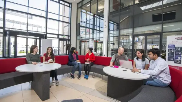 Cardiff University - gallery image 4 Cardiff University gallery image 4