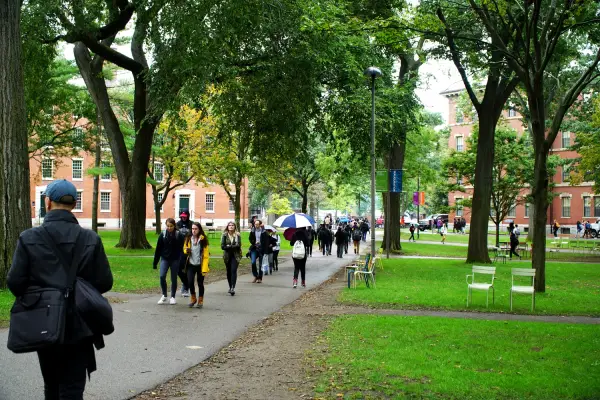 جامعة هارفارد جامعة هارفارد image 7