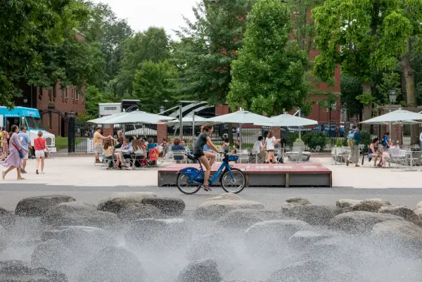 جامعة هارفارد جامعة هارفارد image 10