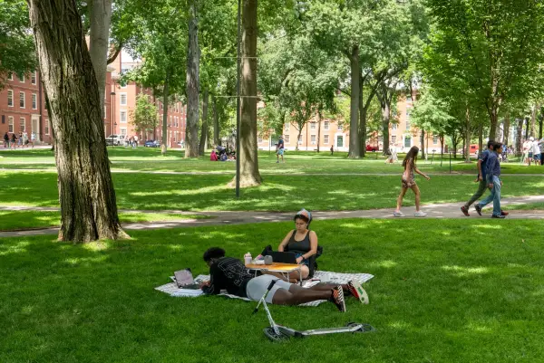 جامعة هارفارد جامعة هارفارد image 11