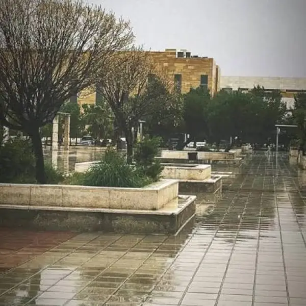 صورة من معرض الجامعة الهاشمية - 3