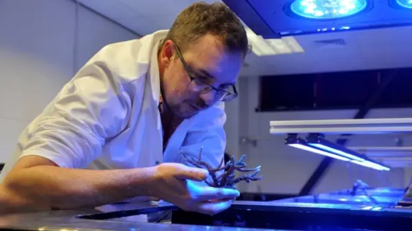 جامعة ديربي - صورة 5 صورة من معرض جامعة ديربي - 5