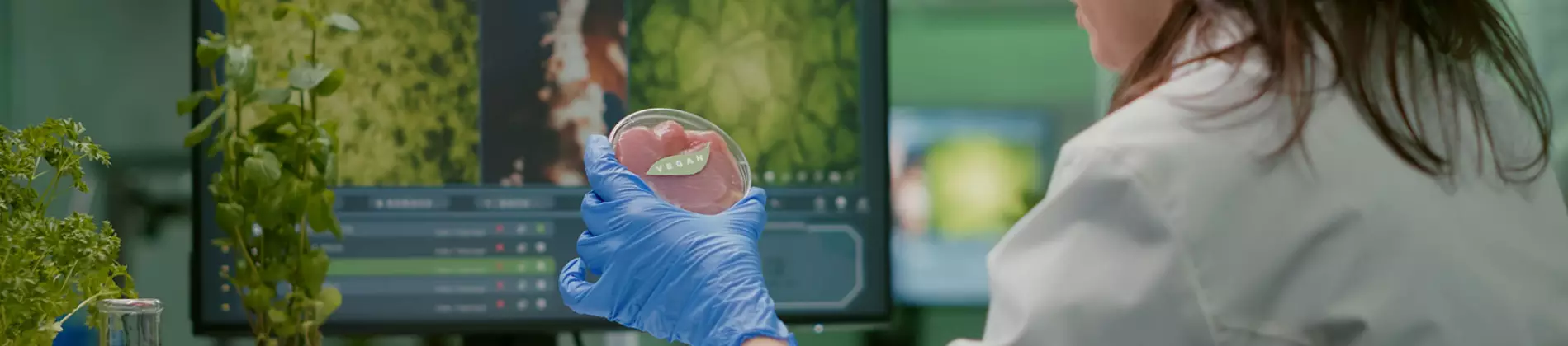 Bio & Biomedical Engineering