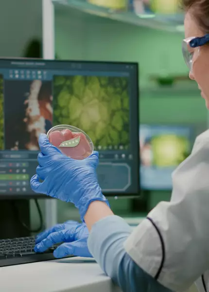 Bio & Biomedical Engineering | You Apply