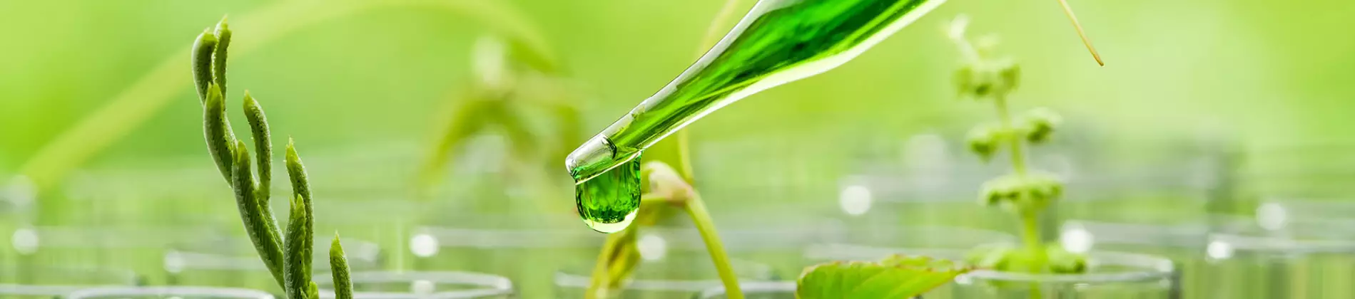 Environmental Sciences