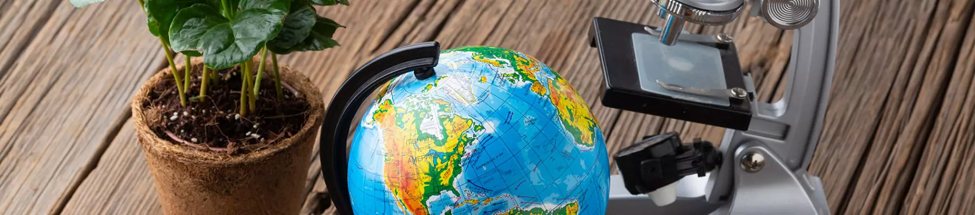 Environmental Studies & Earth Sciences