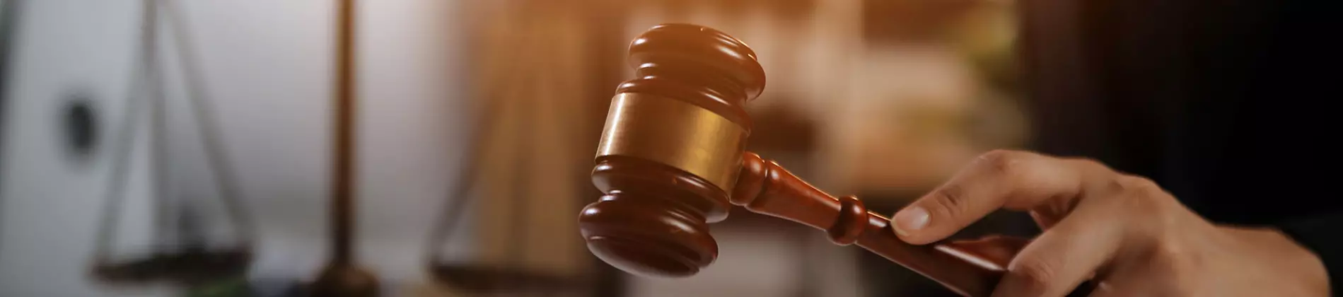 Your guide to know everything you need about studying Law