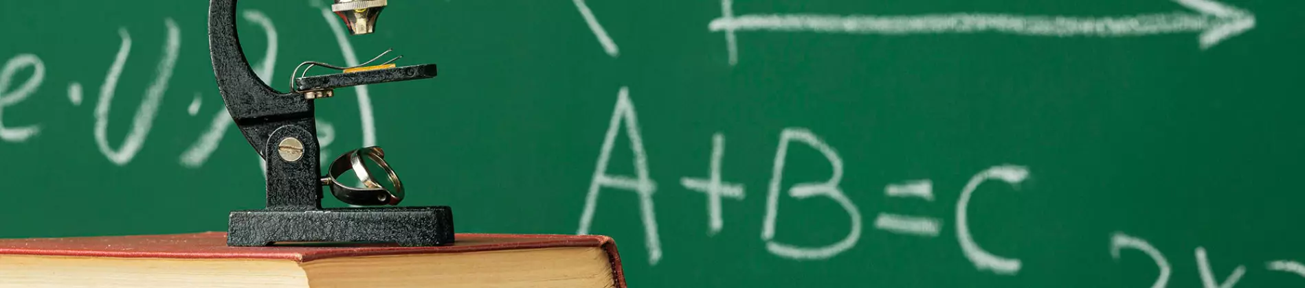 Your guide to know everything you need about studying Natural Sciences & Mathematics