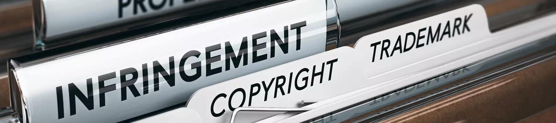 Patent & Intellectual Property Law