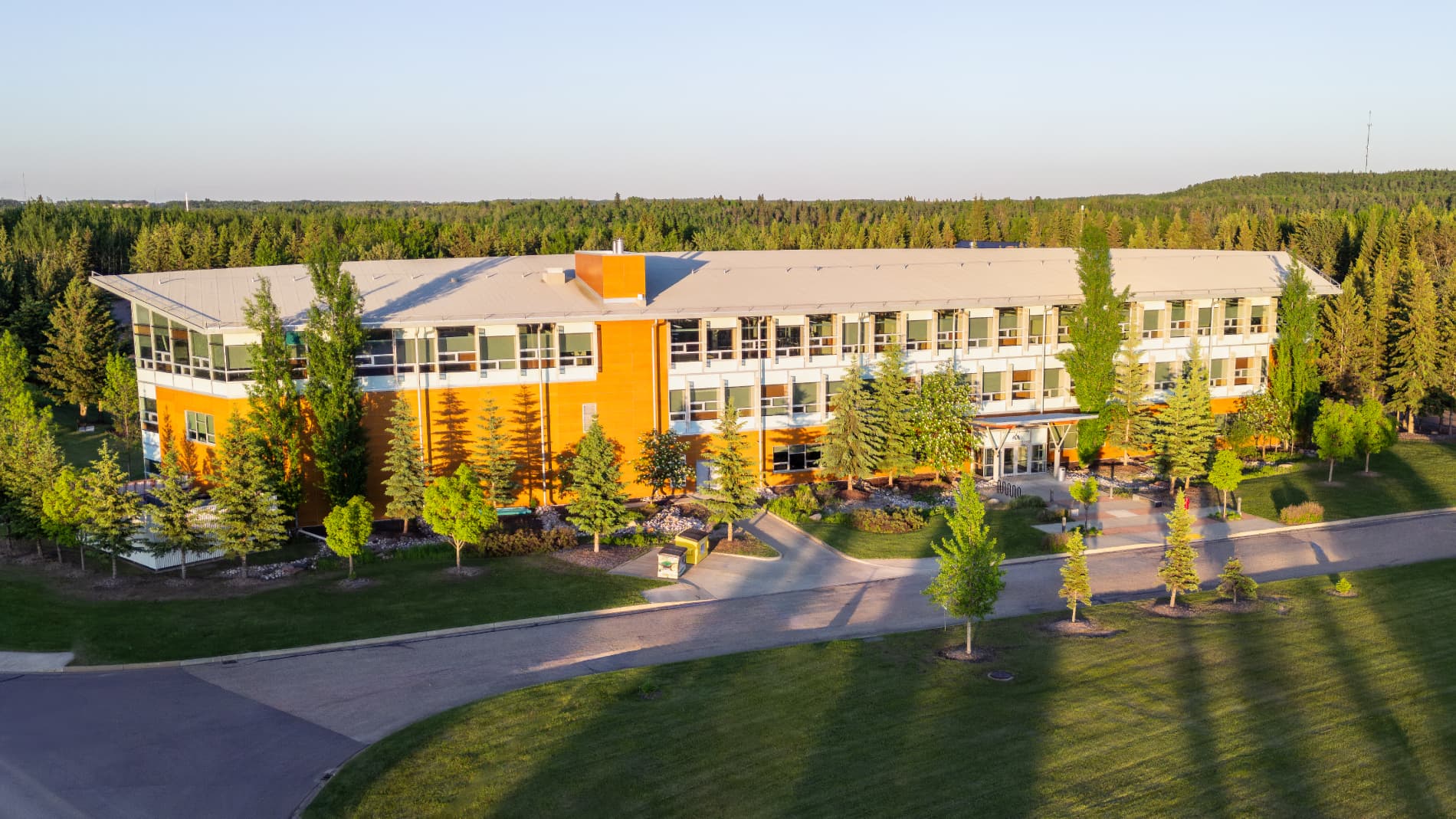 Bachelor of Commerce in Business Technology Management
