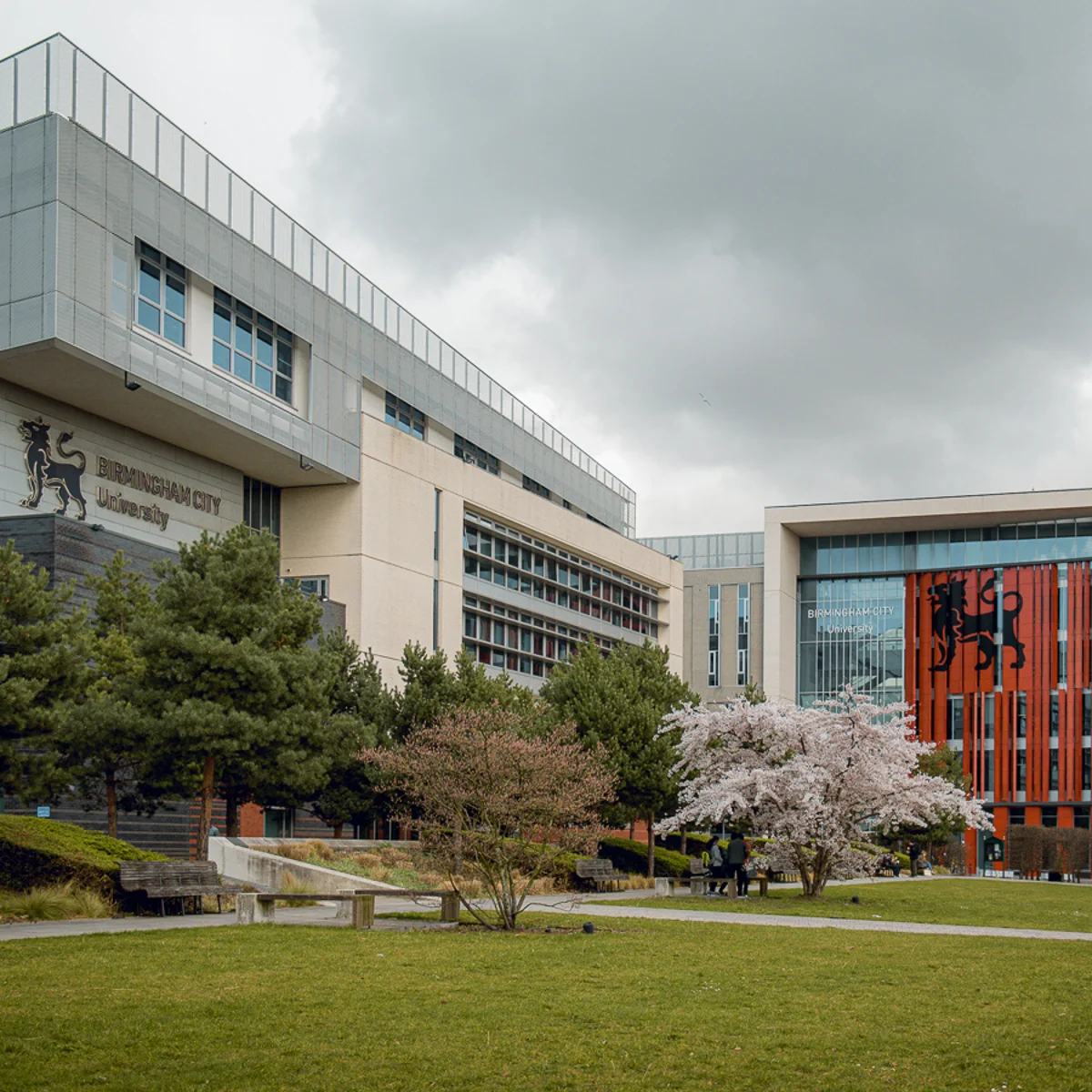 BCU Accelerate