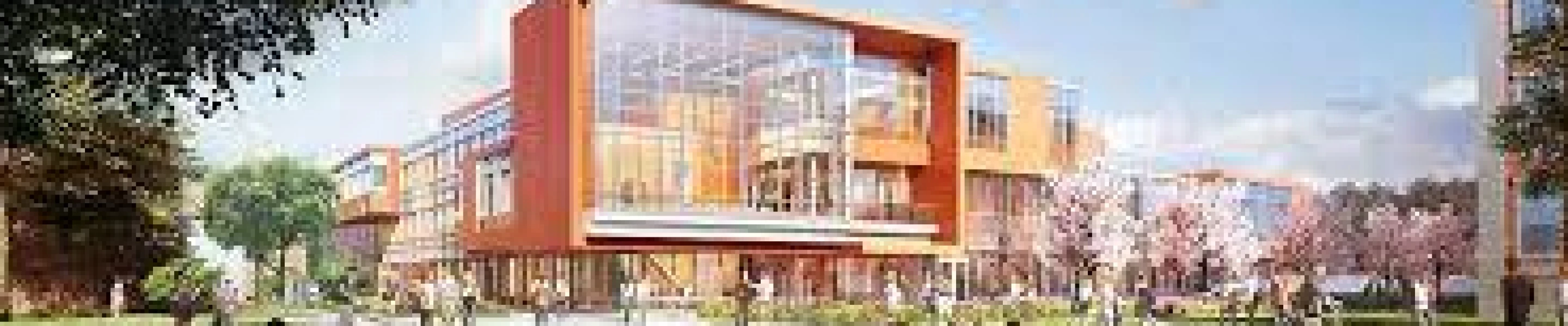 Adelphi University, Accounting You Apply