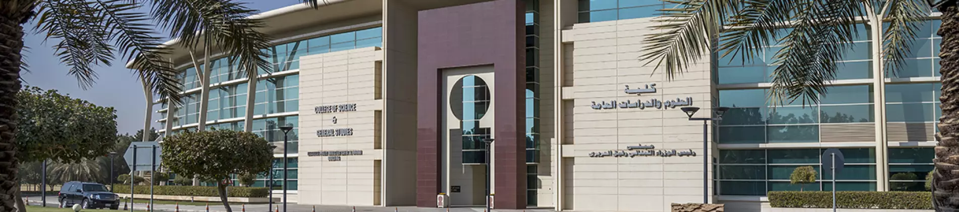 الهندسة الصناعية (بكالوريوس)