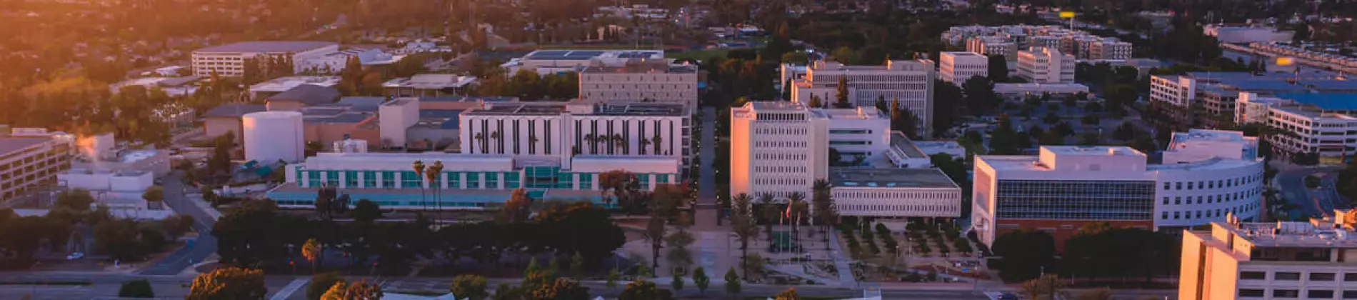 California State University Fullerton in USA