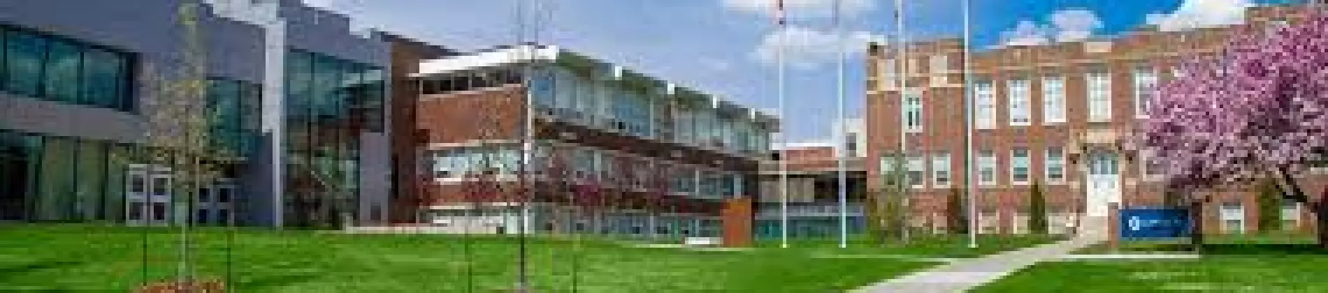 Information Technology Major