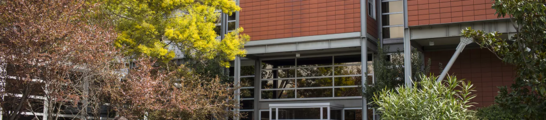 Arts and Cultural Management