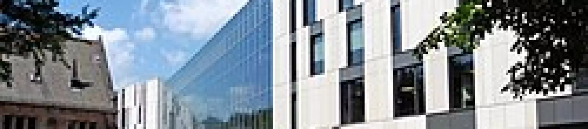 Geographie / Geography (Bachelor of Science)