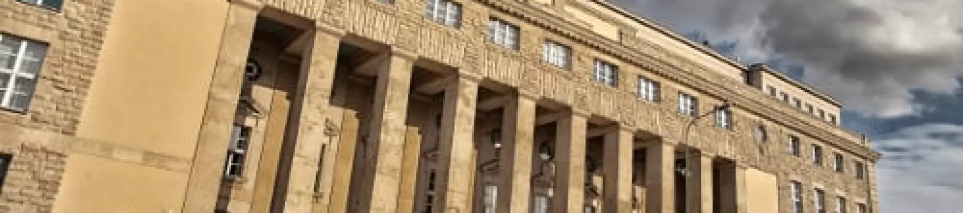 جامعة بوزنان للاقتصاد والأعمال في بولندا