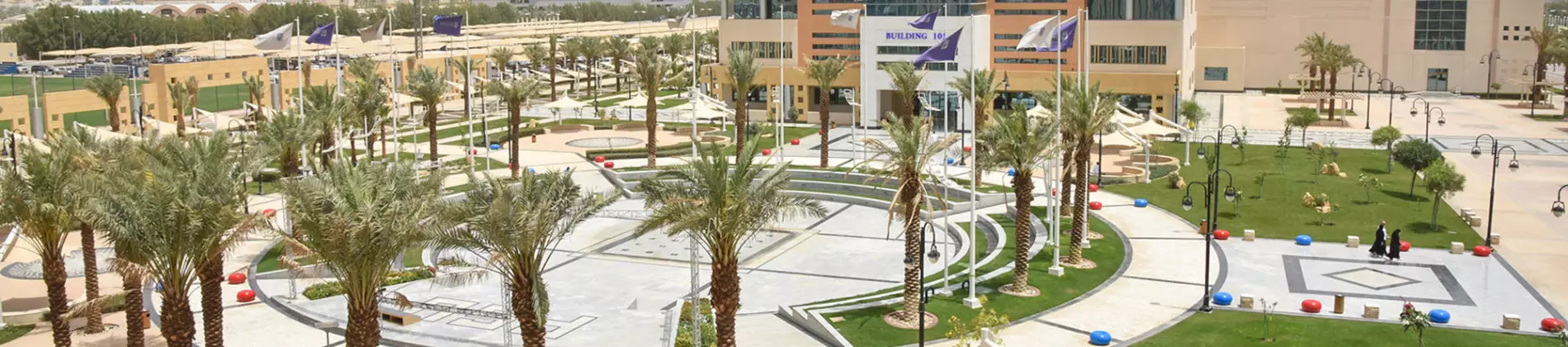 جامعة الأمير سلطان في السعودية