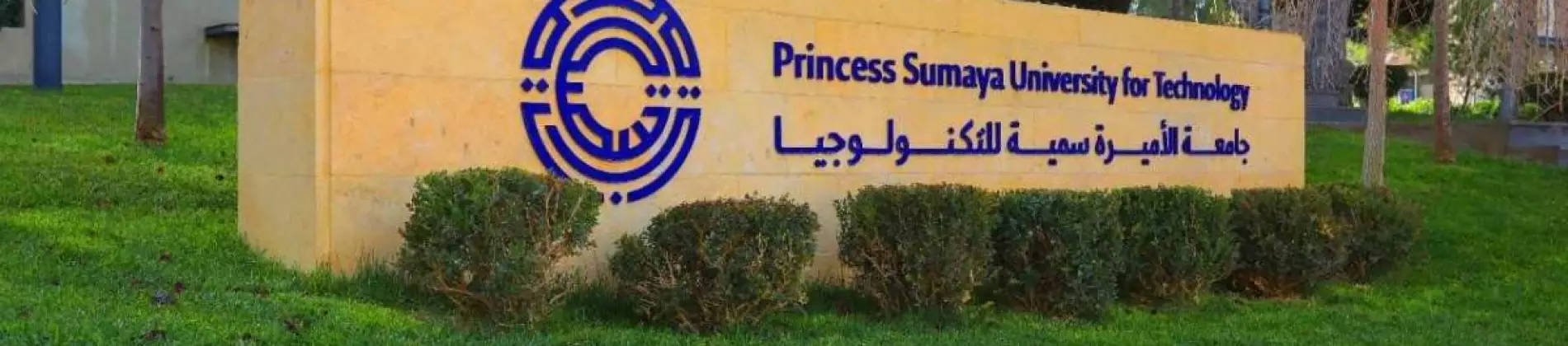 درجة البكالوريوس في علوم البيانات والذكاء الاصطناعي