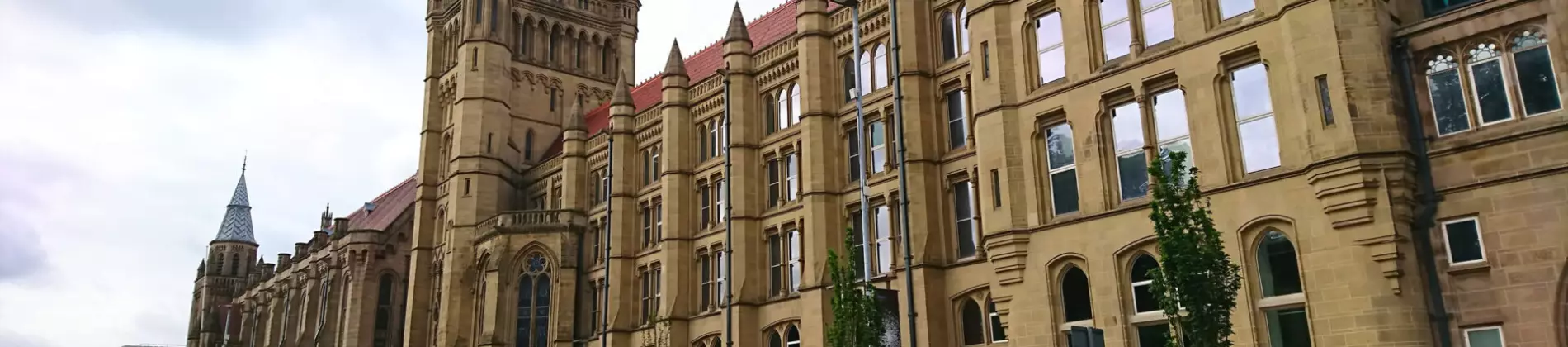 BSc Global Development with International Study
