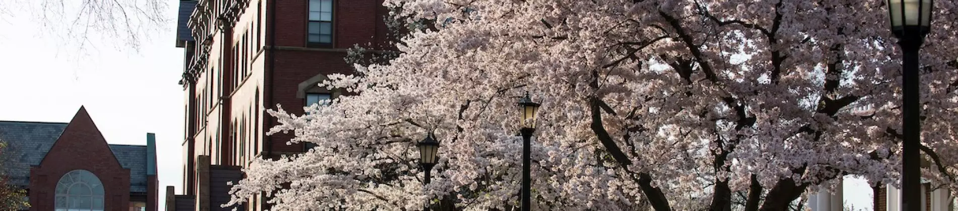 Tufts University in United States of America