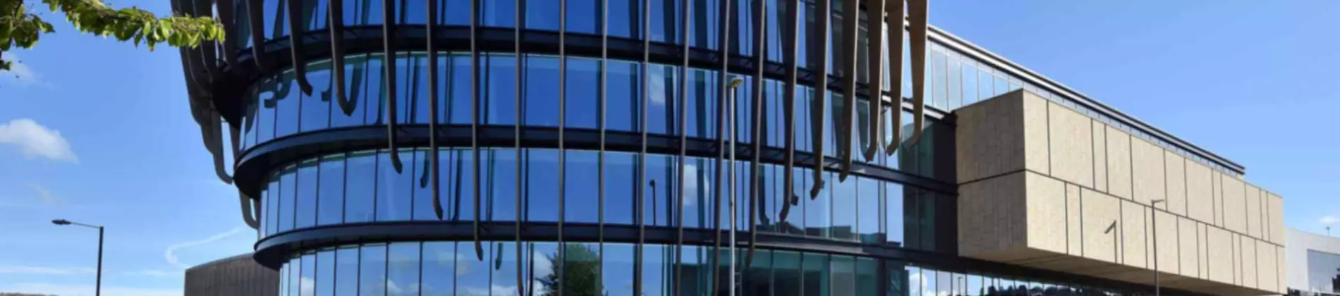 Business Intelligence and Analytics MSc