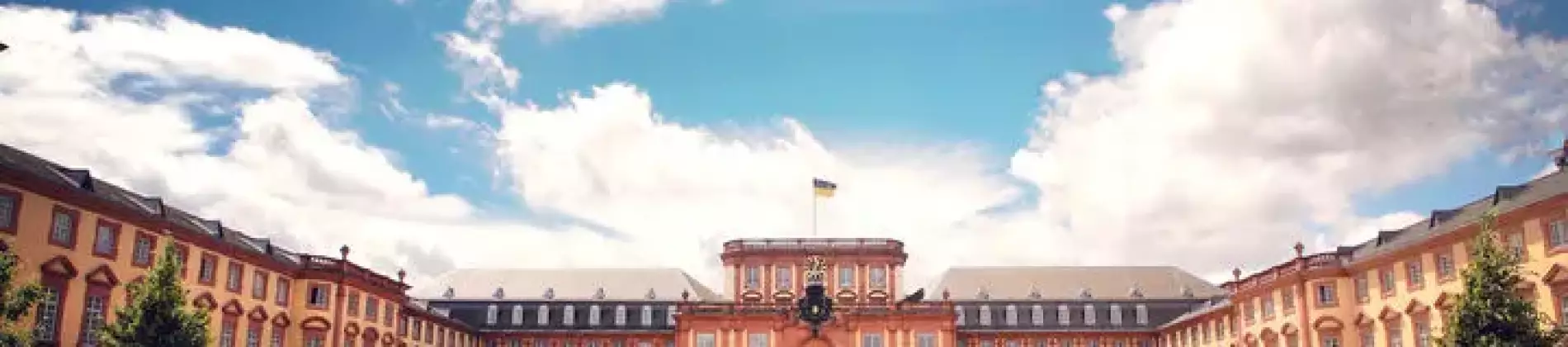Bachelor's Program in Culture and Economy: History