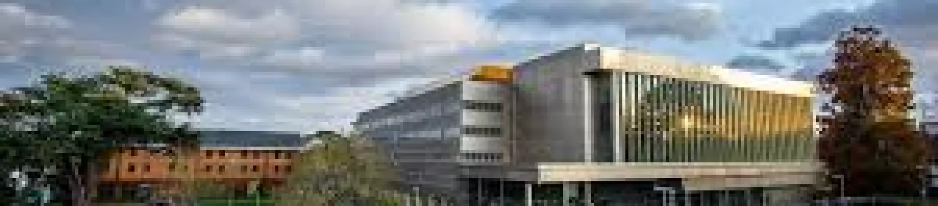 BSc Consumer Behaviour and Marketing