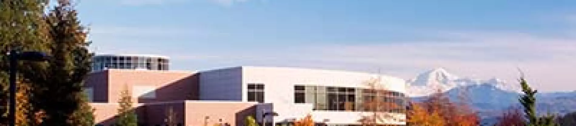 Adult Education bachelor's degree
