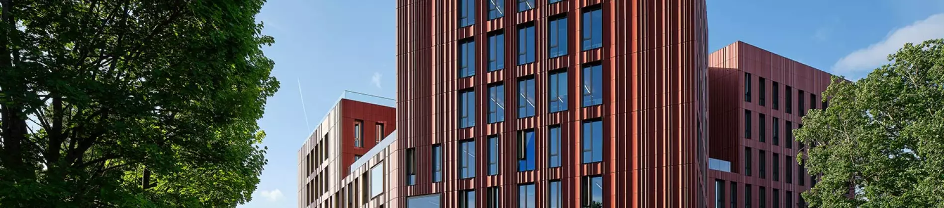 Biochemistry with Placement Year BSc