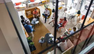 جامعة جريفيث جامعة جريفيث