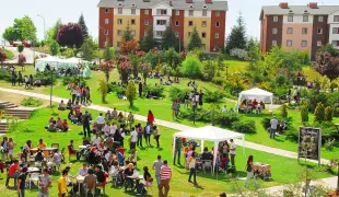 جامعة هاستيب جامعة هاستيب