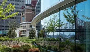 Rockefeller University Rockefeller University