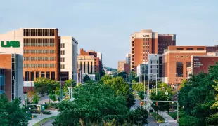 The University of Alabama at Birmingham The University of Alabama at Birmingham