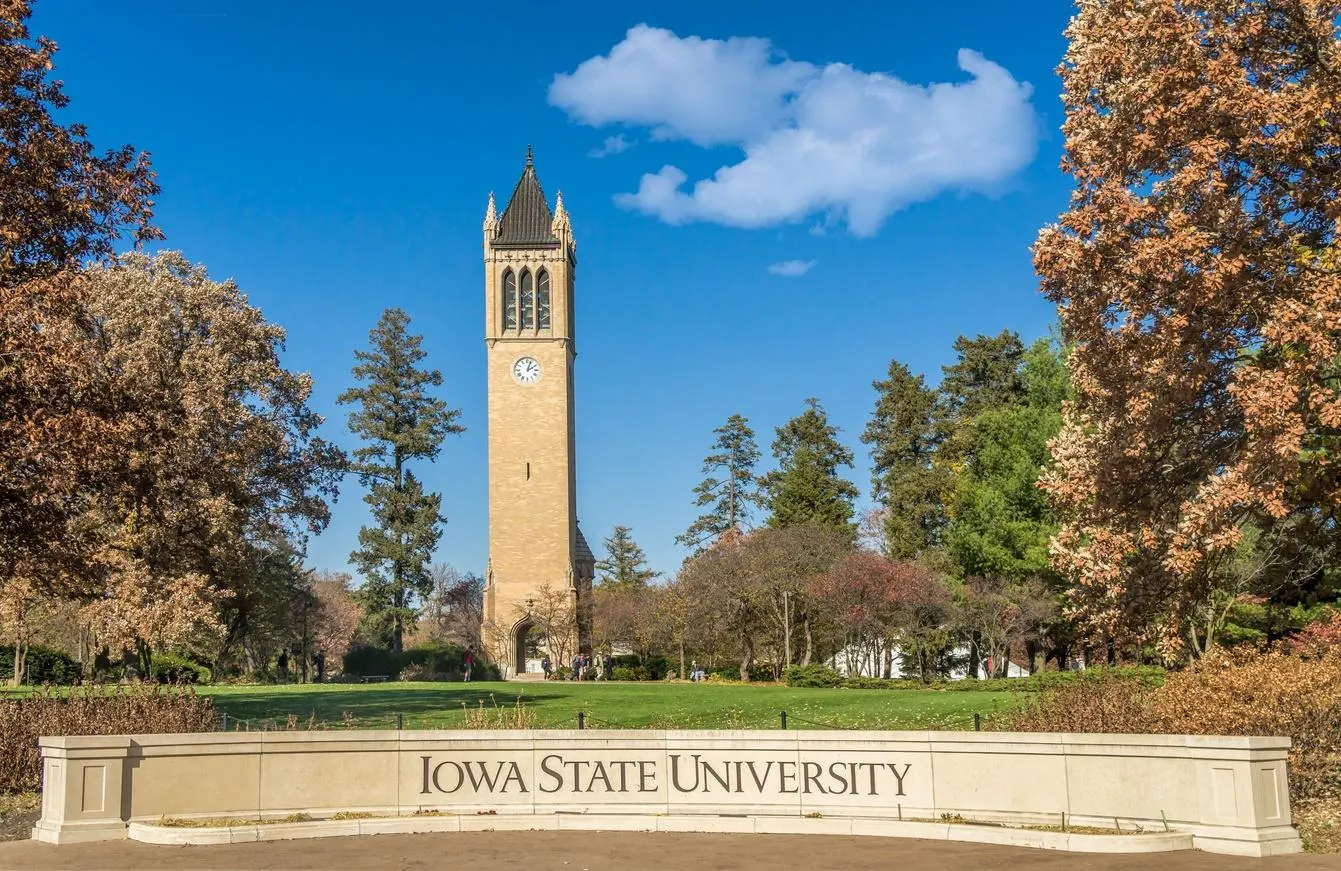 International Merit Scholarships