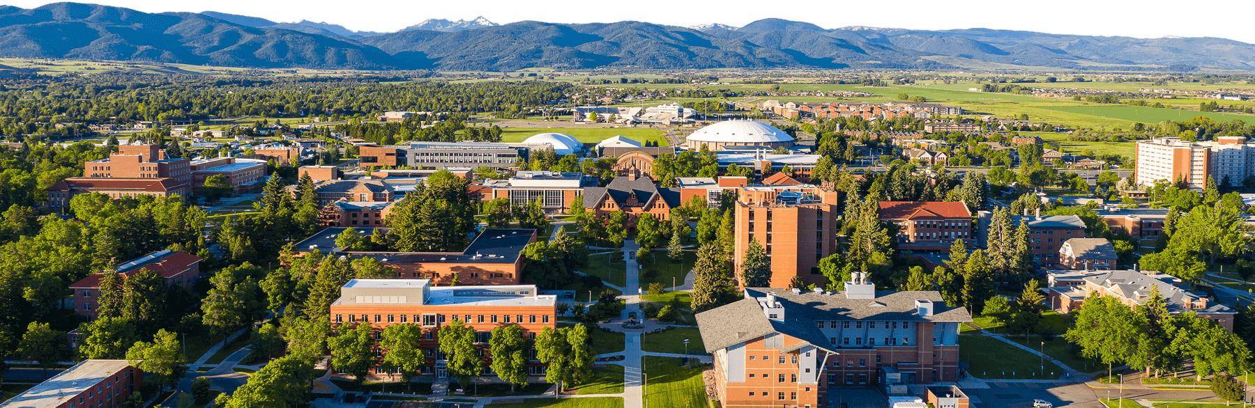 MSU Presidential Scholarship
