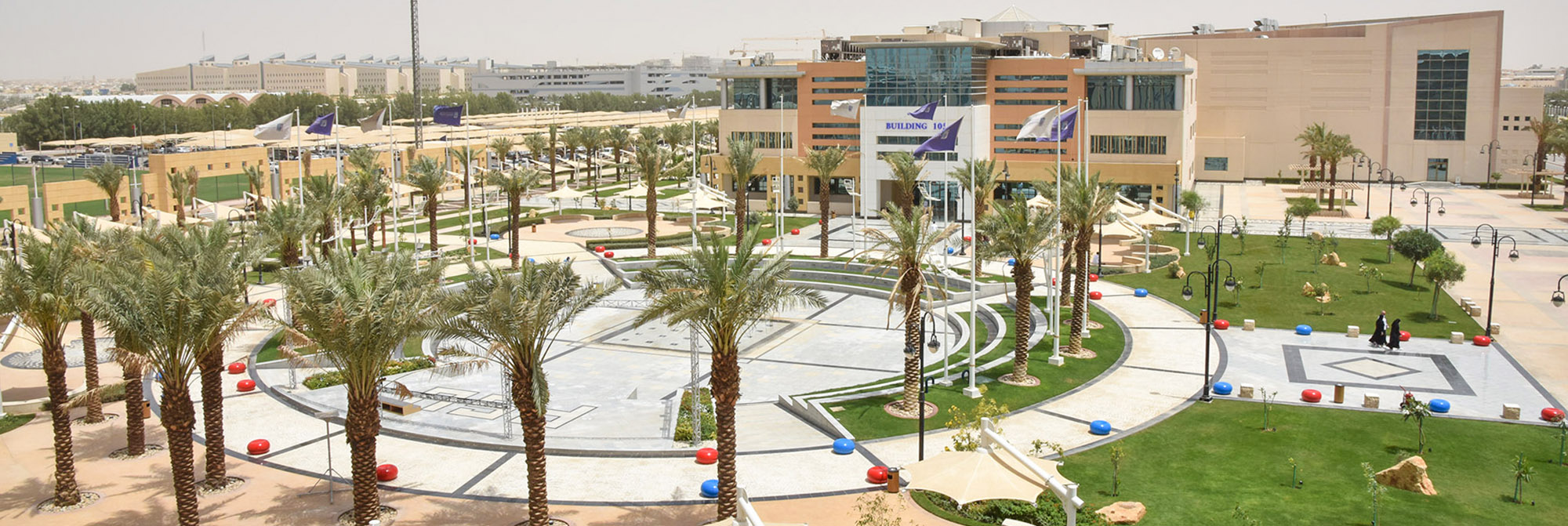 جامعة الأمير سلطان