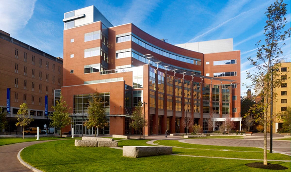 Molecular Physiology & Translational Medicine