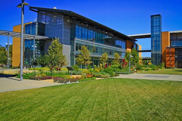Master of Immunology at University of California, Davis