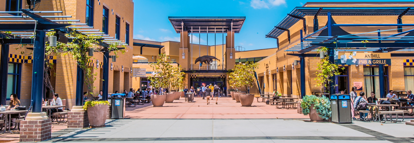 Bachelor of Game Design and Interactive Media at University of California, Irvine