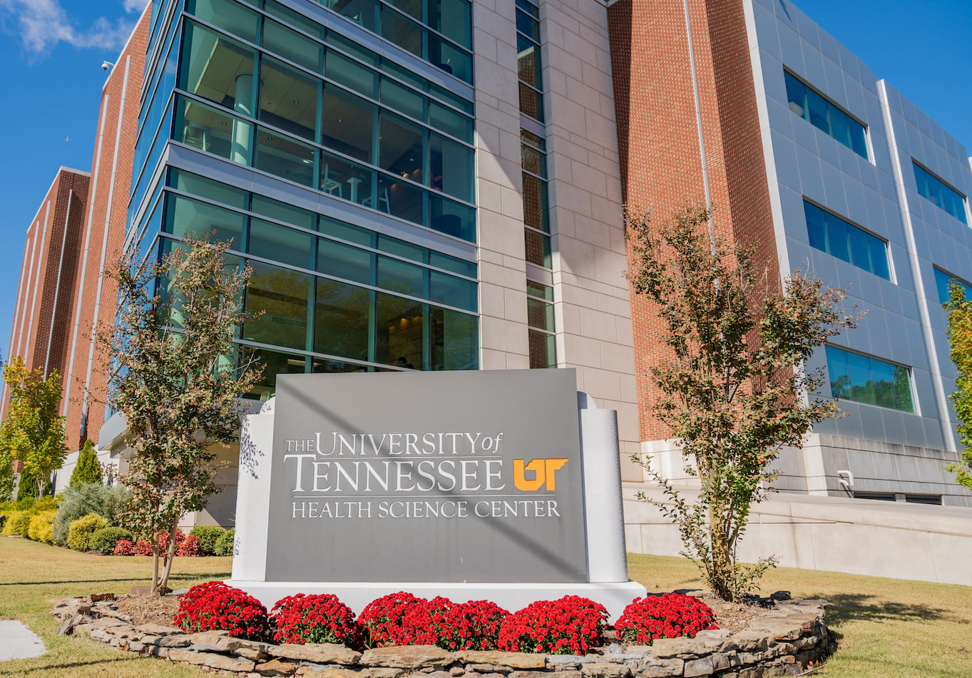Health Outcomes and Policy Research, Health Informatics and Information Management Concentration